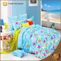 Luxury Comforter Sets Bedspread In Bag Coverlet Queen King Size Full Cotton Printed Bedding Set